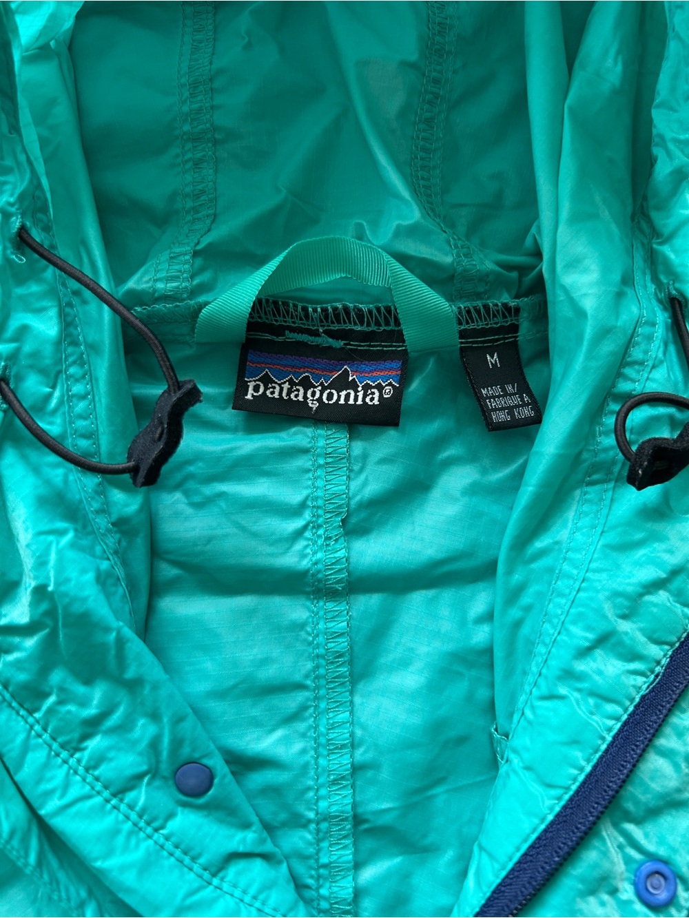 Patagonia Teal/Seafoam Ski Jacket